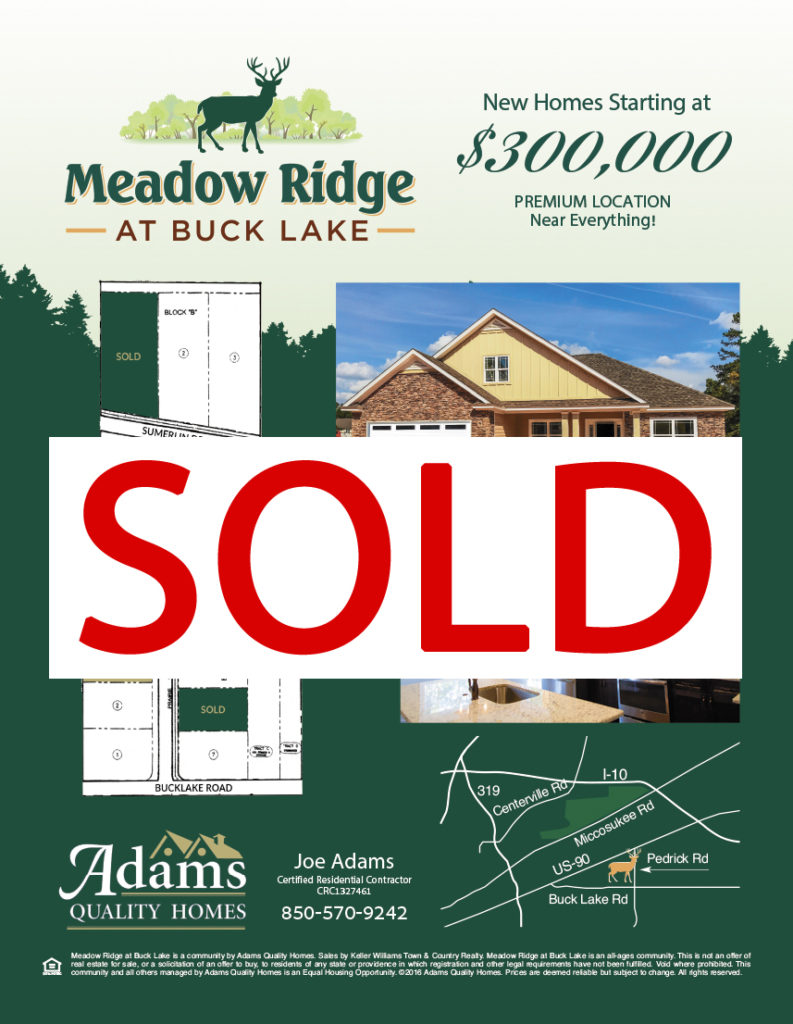 Meadow Ridge at Buck Lake home rendering